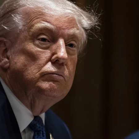 harvard trump