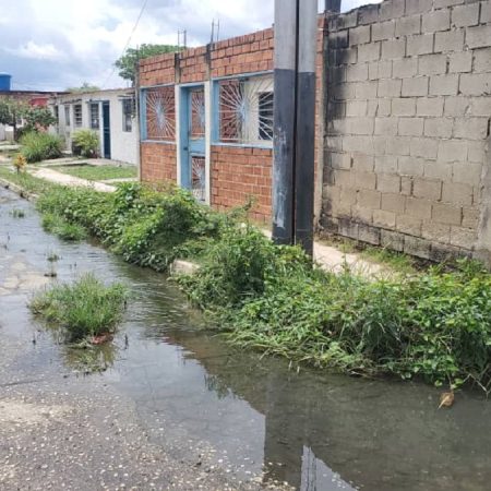 aguas negras
