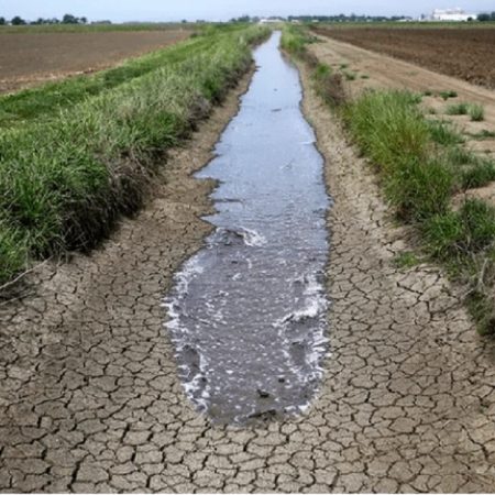 Crisis hídrica en Uruguay/Foto Cortesía de Economía Sustentable