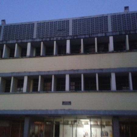 Foto: Armando Díaz.