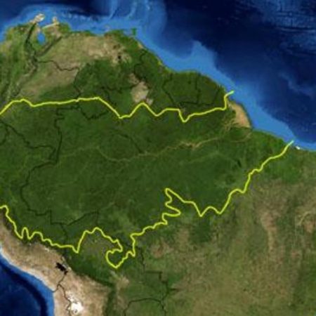 Países amazónicos montan centro de referencia con datos del pulmón del mundo