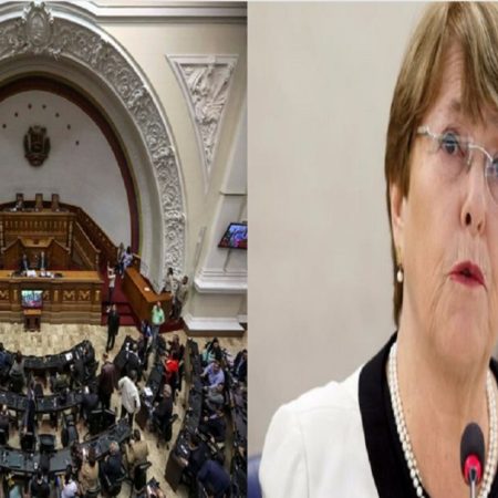 bachelet-AN-2019