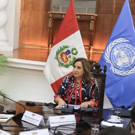 Boluarte asegura a relator de la ONU que el Estado peruano garantiza el respeto a los DDHH