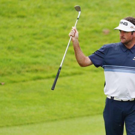 Bubba Watson terminó con un cartón con 63 golpes (-7) para totalizar 263 impactos (-17) y ganar así el torneo de golf Travelers Championship./Foto: AFP