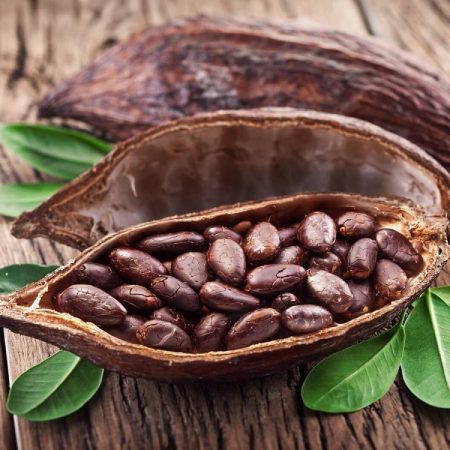 Exportación de cacao queda exonerada de impuestos y aranceles