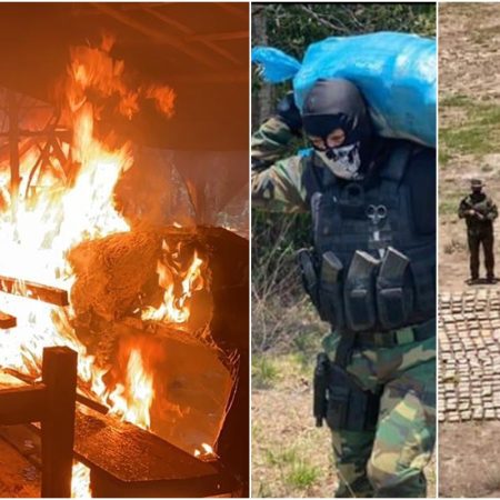 FANB halló alijo de droga en un presunto campamento de terroristas en Apure