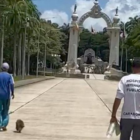 Pedro Carvajal y Jorge Pérez, llegando a Campo Carabobo. (Foto cortesía).