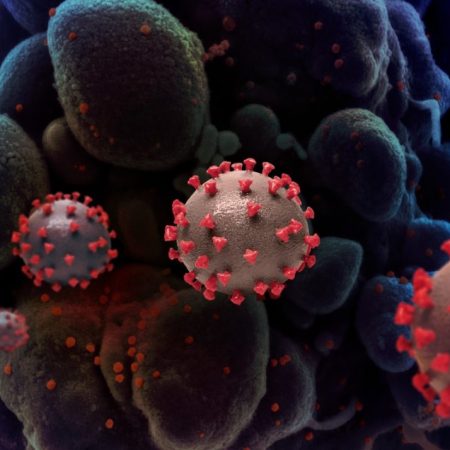 Comisión Europea destina 123 millones de euros a investigar variantes de coronavirus