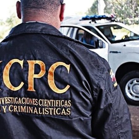 Cicpc detuvo a dos jóvenes en el estado Miranda por distribuir pornografía infantil