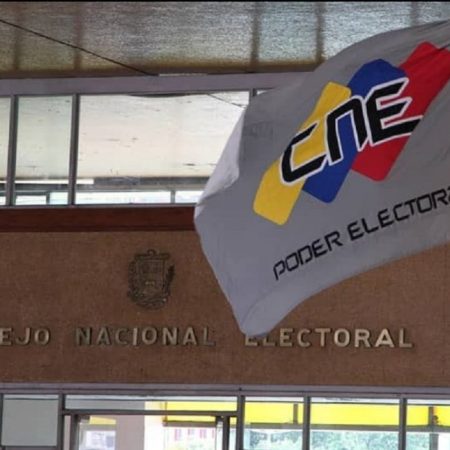 CNE modificará reglamento para permitir observación internacional