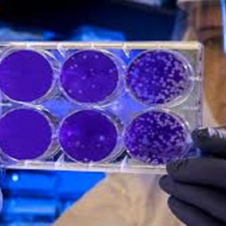 coronavirus-estudio-familia-danos-neurologicos