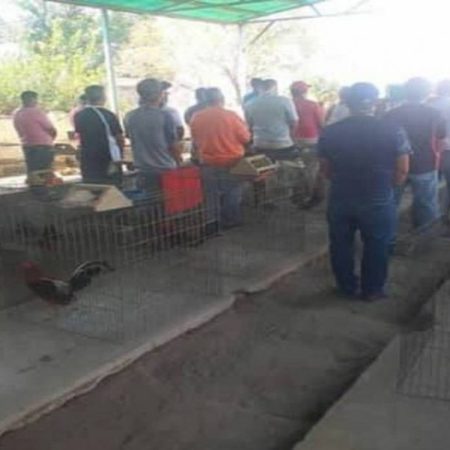 Detenidas 18 personas en una gallera de Barinas. (Foto Cortesía El Universal)