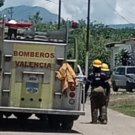 Foto: Cortesía