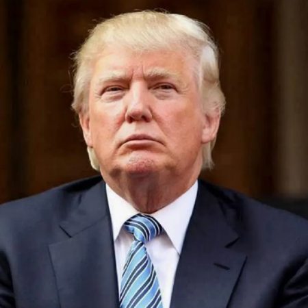 Seguir revisando los documentos de Trump