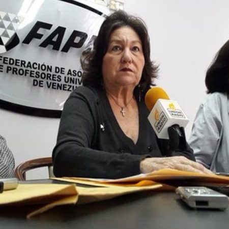 La presidenta de la Federación de Asociaciones de Profesores Universitarios de Venezuela (Fapuv), Lourdes Ramírez de Viloria. (Cortesía)