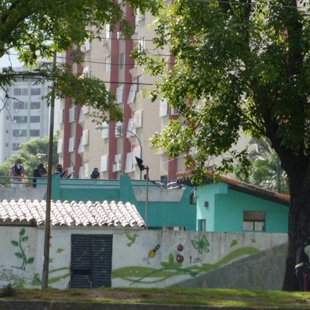 Foto referencial