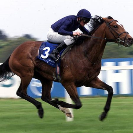 Breeders' Cup. Cortesía Getty Images.