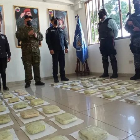 Policía del estado Bolívar incautó casi 43 kilos de marihuana en el municipio Sucre