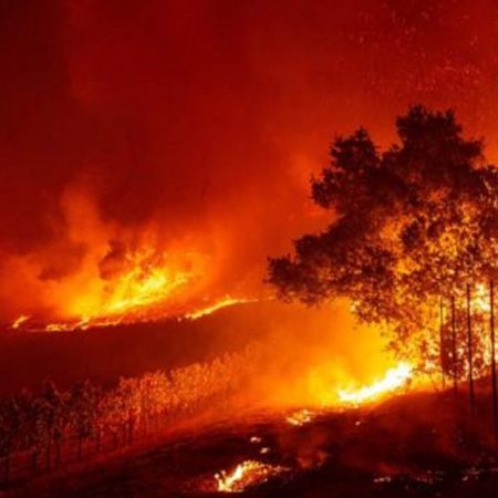 incendios (AFP)california