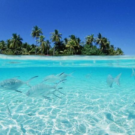 Maduro creó ZEE en Isla La Tortuga