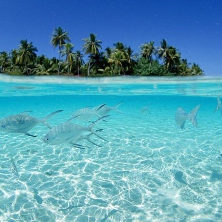 Maduro ofrece la isla de La Tortuga para invertir a países árabes. (Foto Archivo)