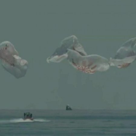 Dos astronautas amerizaron en el Golfo de México a bordo de una cápsula de SpaceX (Foto cortesía)