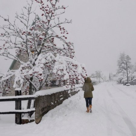 nieve