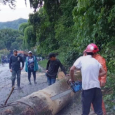 El menor se encontraba pastoreando ganado | (Foto: Portuguesa Al Día)