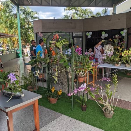 ´La exposición de orquídeas en el centro comercial.