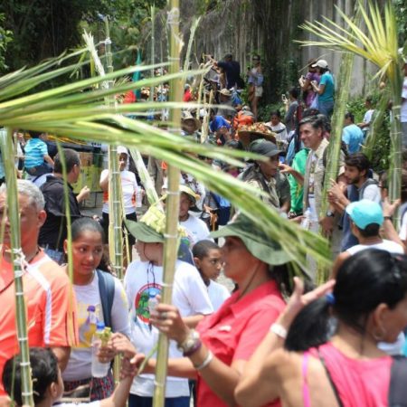 palmeros de chacao