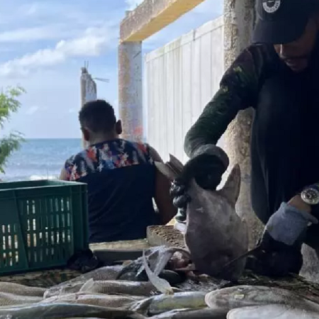 En Providencia, por miedo a ser confundidos con traficantes, algunos pescadores renuncian ahora a las zonas más ricas en peces. © Camille Bouju / RFI