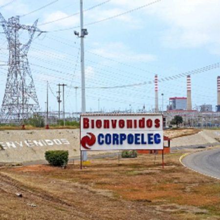 electricidad planta