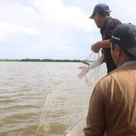 Las redes de pesca ocasionan daños al ecosistema marino. (Cortesía)