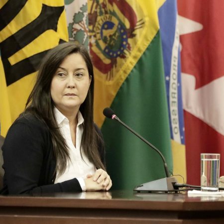 Provea exige la liberación de la activista Rocío San Miguel tras 50 días detenida