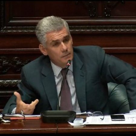 El diputado Rodrigo Goñi. (Cortesía)