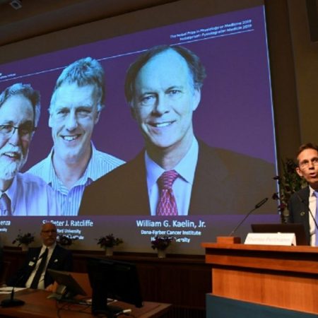 Thomas Perlmann (D), secretario del Comité Nobel, anuncia los nombres de los ganadores del premio de Medicina el 7 de octubre de 2019 en Estocolmo. AFP
