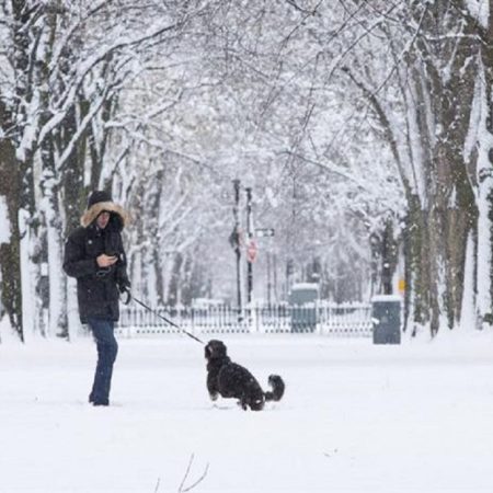 Estados como Nueva York, Connecticut y Massachusetts comenzaron la semana cubiertos de nieve, acumulando hasta 33 centímetros en algunos puntos, tras una tormenta nocturna que no provocó grandes incidentes pero sí obligó a cerrar escuelas y dejó sin electricidad a miles de habitantes. EFE