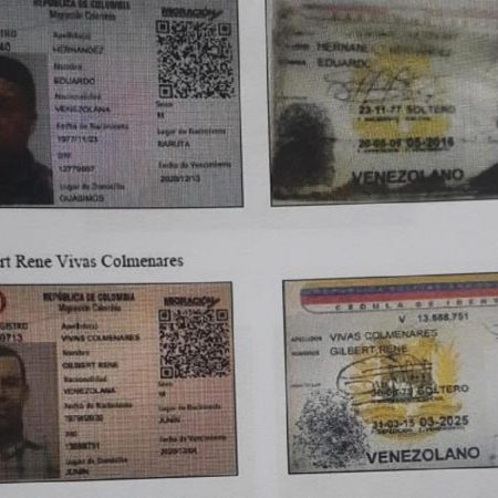 ELTIEMPO tuvo acceso a las 29 identidades de miembros del Sebín con Tarjeta de Movilidad Fronteriza colombianas.