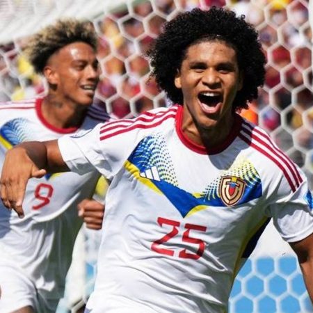vinotinto